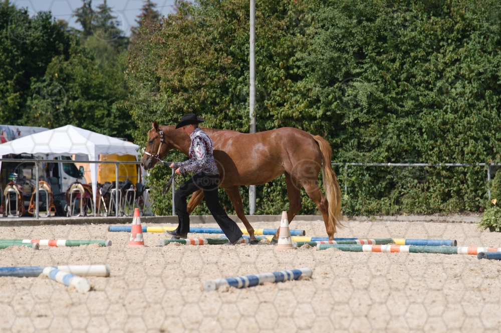 s_batch_A9_00156.jpg